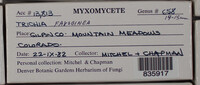 Image Associated With the Occurence